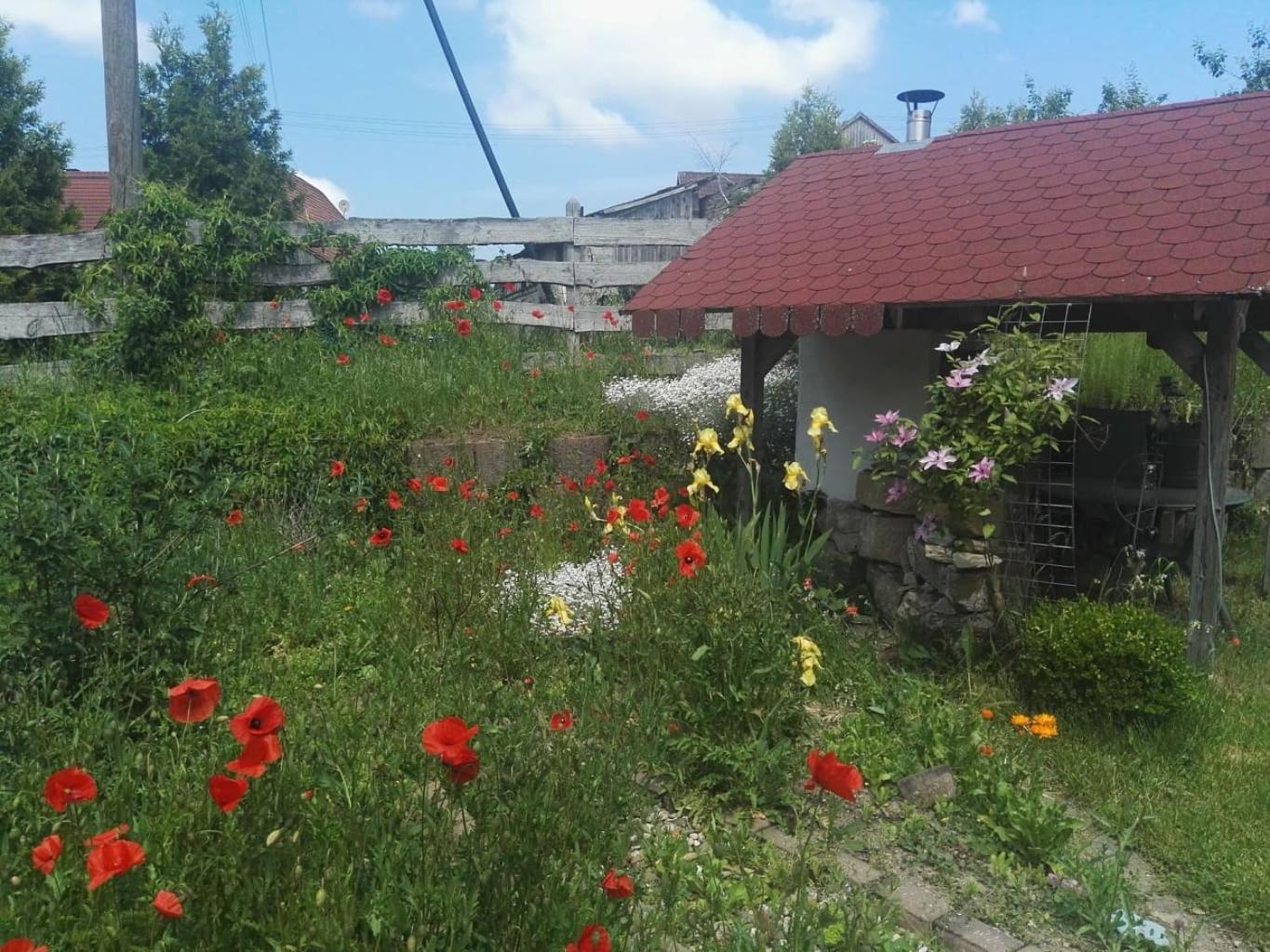Gaestehaus Zum Gesundheitszentrum Matz Sulzdorf an der Lederhecke Luaran gambar